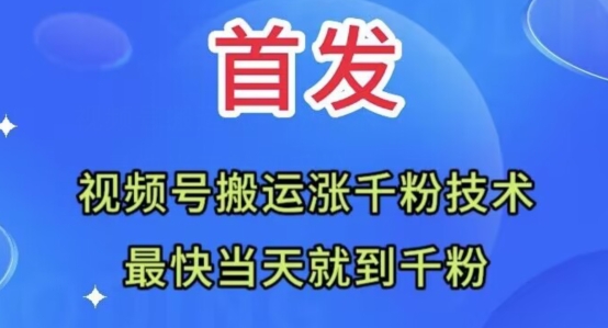 全网首发：视频号无脑搬运涨千粉技术，最快当天到千粉【揭秘】-鱼梓小栈