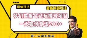 数据号回归玩法游戏试玩搬砖项目再创日入500+【揭秘】-鱼梓小栈