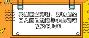 卖莆田篮球鞋,暴利掘金日入四位数新手小白都可以轻松上手【揭秘】-鱼梓小栈