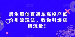 后生原创直通车高投产低价引流玩法，教你引爆店铺流量！-鱼梓小栈
