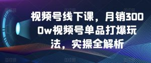 视频号线下课，月销3000w视频号单品打爆玩法，实操全解析-鱼梓小栈