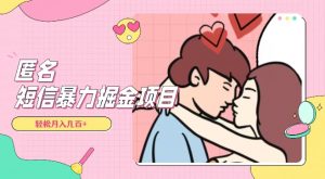 全网首发，揭秘超冷门匿名短信项目，通过信息差日入几百+【揭秘】-鱼梓小栈