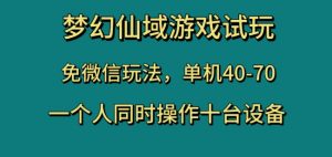梦幻仙域游戏试玩,免微信玩法,单机40-70,一个人同时操作十台设备【揭秘】-鱼梓小栈