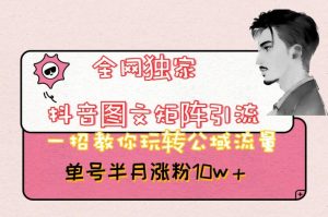 全网独家抖音图文矩阵引流，一招教你玩转公域流量，单号半月涨粉10w+【揭秘】-鱼梓小栈