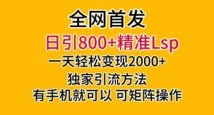全网首发！日引800+精准老色批，一天变现2000+，独家引流方法，可矩阵操作【揭秘】-鱼梓小栈
