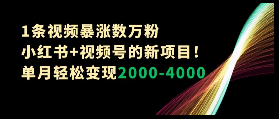 1条视频暴涨数万粉–小红书+视频号的新项目！单月轻松变现2000-4000【揭秘】-鱼梓小栈