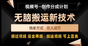 视频号无脑搬运新技术，破原创壕流量，独家方式，爆过视频，还会再爆【揭秘】-鱼梓小栈