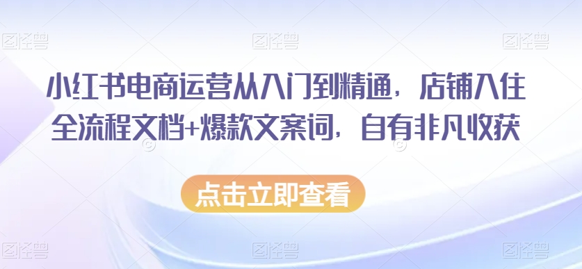 小红书电商运营从入门到精通，店铺入住全流程文档+爆款文案词，自有非凡收获-鱼梓小栈