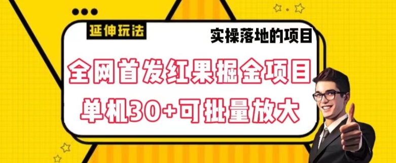 全网首发红果免费短剧掘金项目，单机30+可批量放大【揭秘】-鱼梓小栈