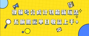视频号最新爆火赛道玩法，只需无脑搬运，轻松过原创，单日收益上千【揭秘】-鱼梓小栈