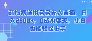 蓝海赛道拼多多无人直播，日入2600+，0成本变现，小白也能轻松上手【揭秘】-鱼梓小栈