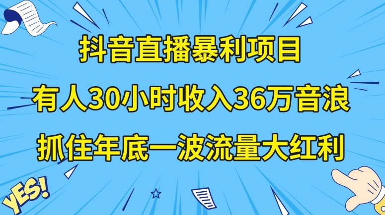 抖音直播暴利项目，有人30小时收入36万音浪，公司宣传片年会视频制作，抓住年底一波流量大红利【揭秘】-鱼梓小栈