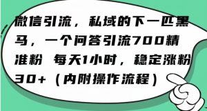 怎么搞精准创业粉？微信新赛道，每天一小时，利用Ai一个问答日引100精准粉-鱼梓小栈