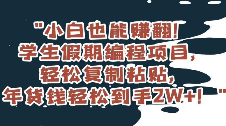 小白也能赚翻！学生假期编程项目，轻松复制粘贴，年货钱轻松到手2W+【揭秘】-鱼梓小栈