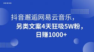 抖音邂逅网易云音乐，另类文案4天狂吸5W粉，日赚1000+【揭秘】-鱼梓小栈
