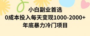 小白副业首选，0成本投入，每天变现1000-2000年底暴力冷门项目【揭秘】-鱼梓小栈