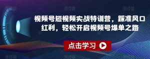 视频号短视频实战特训营，踩准风口红利，轻松开启视频号爆单之路-鱼梓小栈