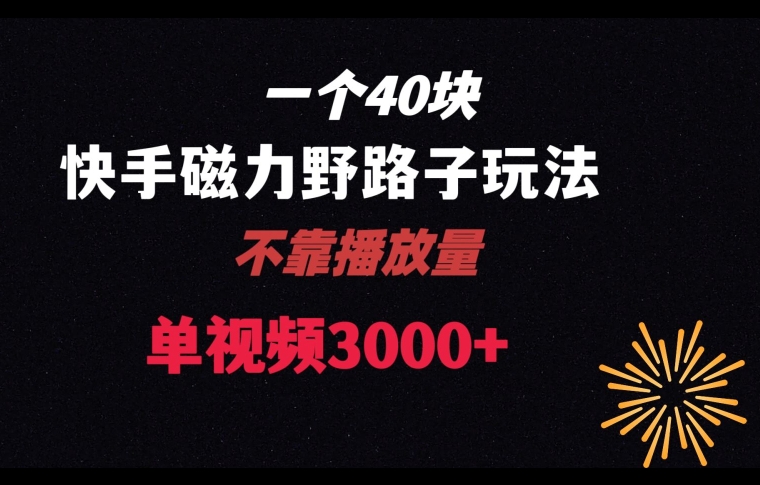 一个40块，快手联合美团磁力新玩法，无视机制野路子玩法，单视频收益4位数【揭秘】-鱼梓小栈
