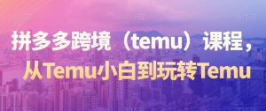 拼多多跨境（temu）课程，从Temu小白到玩转Temu-鱼梓小栈