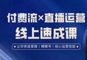 视频号付费流实操课程,付费流✖️直播运营速成课,让你快速掌握视频号核心运营技能-鱼梓小栈