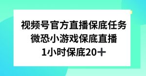 视频号直播任务，微恐小游戏，1小时20+【揭秘】-鱼梓小栈