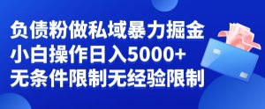 负债粉私域暴力掘金，小白操作入5000，无经验限制，无条件限制【揭秘】-鱼梓小栈