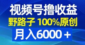 视频号野路子撸收益，100%原创，条条爆款，月入6000＋【揭秘】-鱼梓小栈