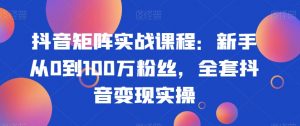 抖音矩阵实战课程:新手从0到100万粉丝,全套抖音变现实操-鱼梓小栈