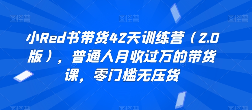 小Red书带货42天训练营（2.0版），普通人月收过万的带货课，零门槛无压货-鱼梓小栈