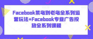 Facebook菜鸟到老鸟全系列运营玩法+Facebook专业广告投放全系列课程-鱼梓小栈