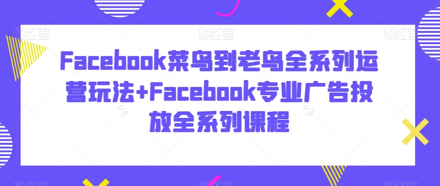 Facebook菜鸟到老鸟全系列运营玩法+Facebook专业广告投放全系列课程-鱼梓小栈