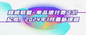 臻曦联盟-单品微付费正价起号，2024年1月最新课程-鱼梓小栈
