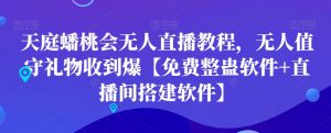 天庭蟠桃会无人直播教程，无人值守礼物收到爆【免费整蛊软件+直播间搭建软件】-鱼梓小栈