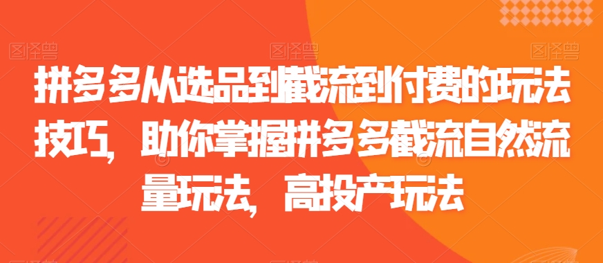拼多多从选品到截流到付费的玩法技巧，助你掌握拼多多截流自然流量玩法，高投产玩法-鱼梓小栈