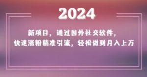 2024新项目，通过国外社交软件，快速涨粉精准引流，轻松做到月入上万【揭秘】-鱼梓小栈