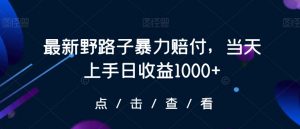 最新野路子暴力赔付，当天上手日收益1000+【仅揭秘】-鱼梓小栈