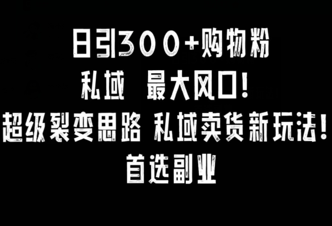 日引300+购物粉，超级裂变思路，私域卖货新玩法，小红书首选副业【揭秘】-鱼梓小栈