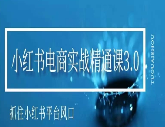 小红书电商实战精通课3.0，抓住小红书平台的风口，不错过有一个赚钱的机会-鱼梓小栈