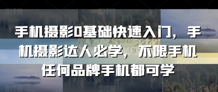 手机摄影0基础快速入门，手机摄影达人必学，不限手机任何品牌手机都可学-鱼梓小栈