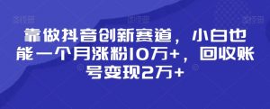 靠做抖音创新赛道，小白也能一个月涨粉10万+，回收账号变现2万+【揭秘】-鱼梓小栈