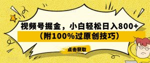 视频号掘金，小白轻松日入800+（附100%过原创技巧）【揭秘】-鱼梓小栈