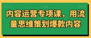 内容运营专项课，用流量思维策划爆款内容-鱼梓小栈