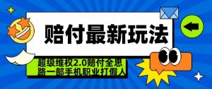 超级维权2.0全新玩法，2024赔付全思路职业打假一部手机搞定【仅揭秘】-鱼梓小栈