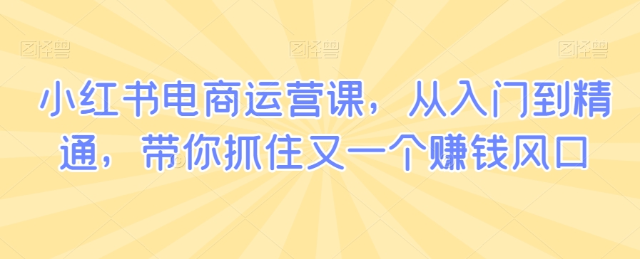 小红书电商运营课，从入门到精通，带你抓住又一个赚钱风口-鱼梓小栈