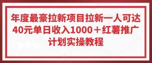 年度最豪拉新项目拉新一人可达40元单日收入1000＋红薯推广计划实操教程【揭秘】-鱼梓小栈