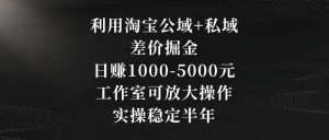 利用淘宝公域+私域差价掘金，日赚1000-5000元，工作室可放大操作，实操稳定半年【揭秘】-鱼梓小栈