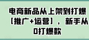电商新品从上架到打爆【推广+运营】，新手从0打爆款-鱼梓小栈