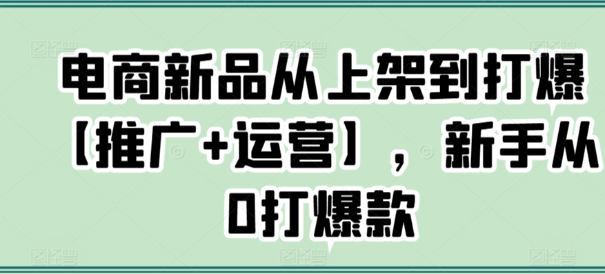 电商新品从上架到打爆【推广+运营】，新手从0打爆款-鱼梓小栈