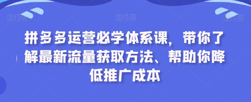 拼多多运营必学体系课，带你了解最新流量获取方法、帮助你降低推广成本-鱼梓小栈