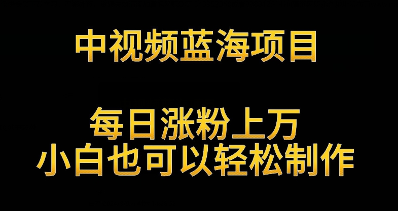 中视频蓝海项目，解读英雄人物生平，每日涨粉上万，小白也可以轻松制作，月入过万不是梦【揭秘】-鱼梓小栈